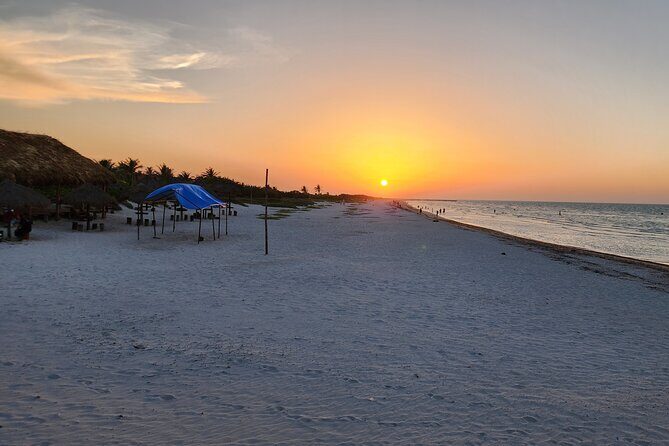 Private Roundtrip Transfer to "El Cuyo Yucatan" - Who Is This Tour Best For?