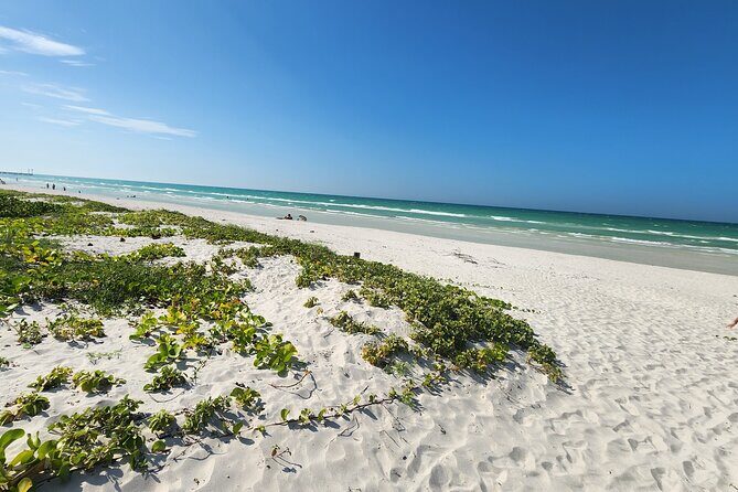 Private Roundtrip Transfer to "El Cuyo Yucatan" - FAQ