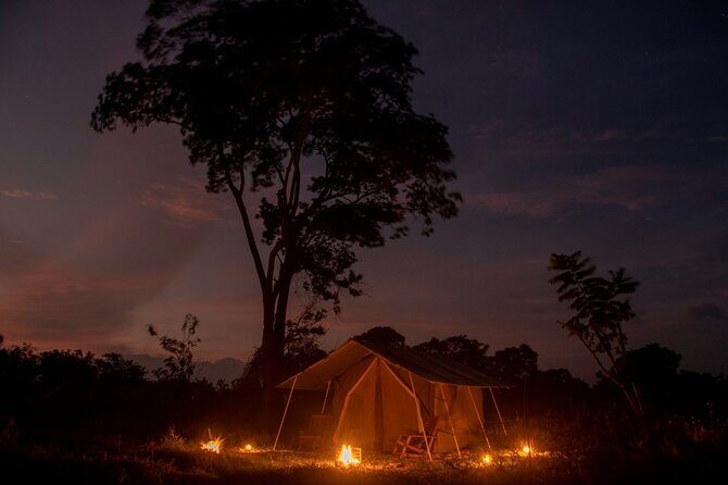Private Safari Camping in Buttala - Key Points