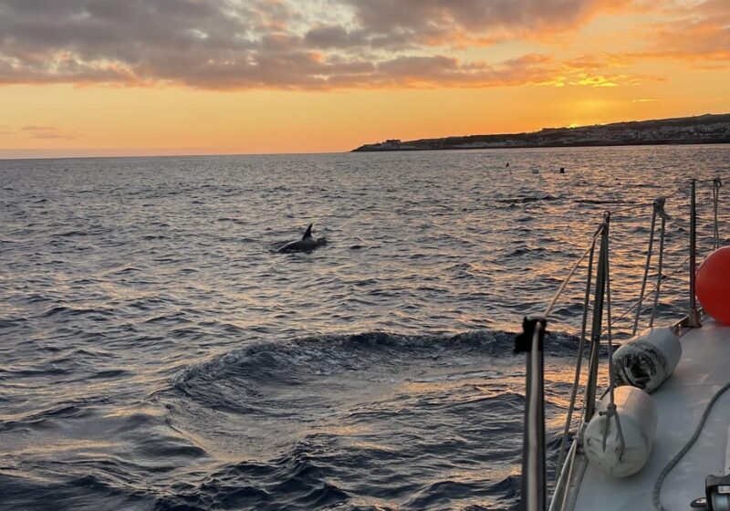 Private Sailing Sunset Tour PDL - FAQ