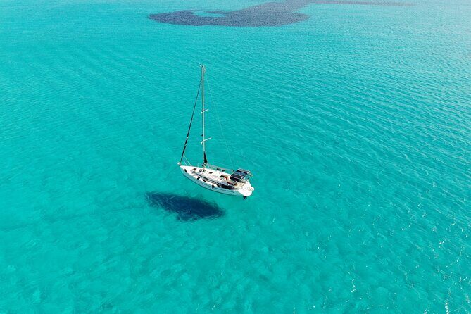 Private sailing with Paella and Tapas in Palma - Why This Tour Is a Fantastic Choice