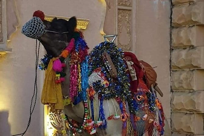 Private Same Day Jaipur Tour with Guide from Delhi - The Sum Up: Who Will Love This Tour?