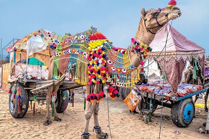 Private Same Day Trip to Pushkar from Jaipur - Who Should Consider This Tour?