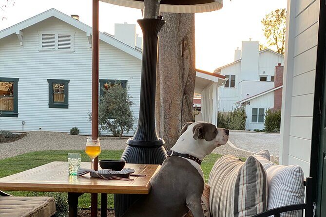 Private Santa Ynez Valley Wine Tasting Tour for up to 4 guests - FAQs