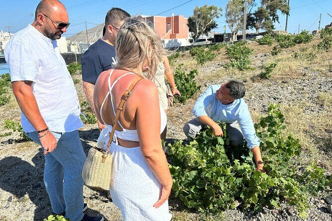 Private Santorini Wine Tour: Explore Top 3 Wineries & Best Views - FAQ