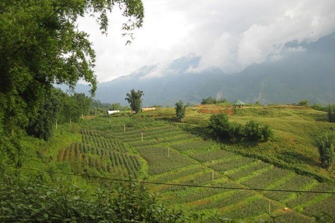 Private Sapa Off The Beaten Path trekking full day tour start from Sapa - Who Is This Tour Best Suited For?