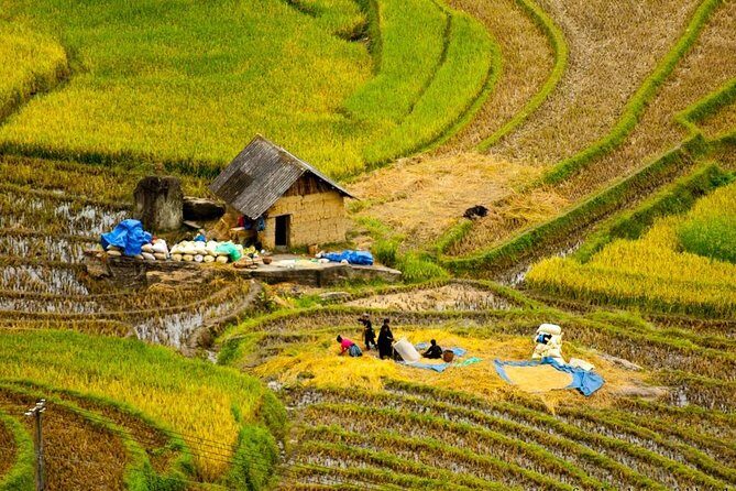 Private Sapa Off The Beaten Path trekking full day tour start from Sapa - FAQ