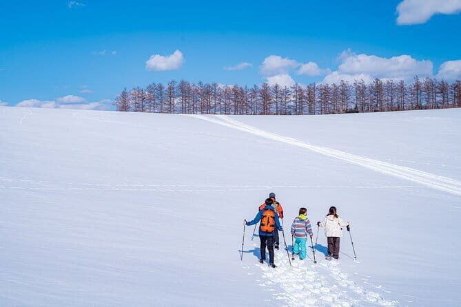 Private Scenic Hills Snowshoeing in Biei - The Itinerary Breakdown