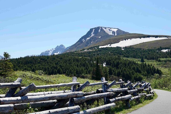 Private Scenic Turnagain Arm Glacier Tour from Anchorage - What Makes This Tour Stand Out