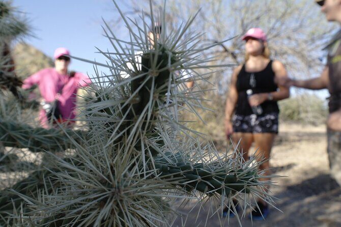 Private Scottsdale Day Hiking Tour - The Walkthrough of the McDowell Sonoran Preserve Hike