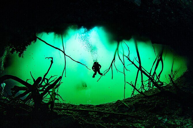 Private Scuba Diving in Cenote around Playa del Carmen - An Overview of the Experience