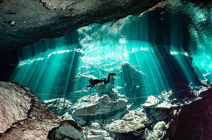 Private Scuba Diving in Cenote around Playa del Carmen - The Value of Guided Expertise