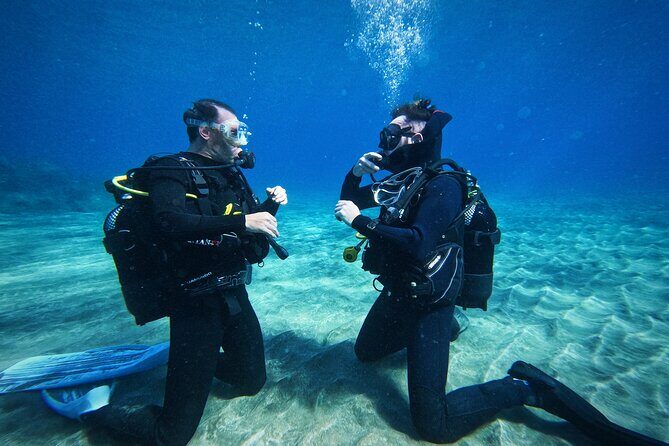 Private Scuba Diving in Tenerife Certified Instructor & Photos - A Detailed Look at the Private Tenerife Scuba Experience