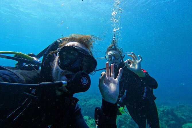 Private Scuba Diving in Tenerife Certified Instructor & Photos - Post-Dive Review and Return