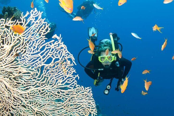 Private Scuba Diving Initiation with Licensed Guide - The Value of the Experience
