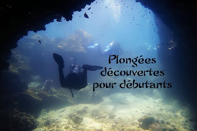 Private Scuba Diving Initiation with Licensed Guide - Detailed Itinerary Breakdown
