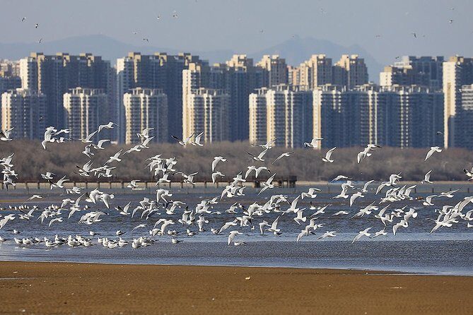 Private Seasonal Day Tour to Beidaihe from Beijing with Birding Experience - What’s Included and Why It Matters