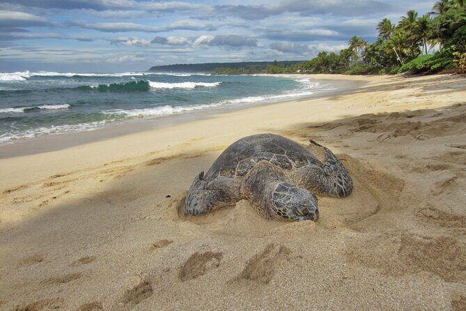 Private Secret Spots Tour on Oahu Hawaii - FAQ