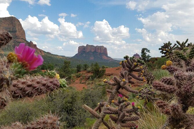 Private Sedona Day Trip from Phoenix or Scottsdale - Who Should Consider This Tour?