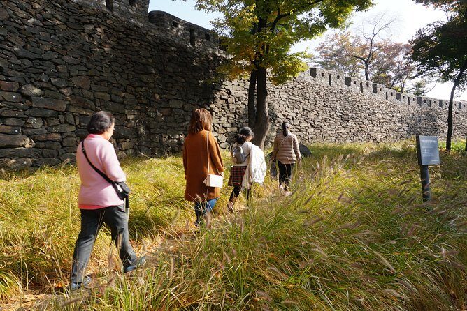Private Seoul Wall Trekking [Inwangsan, Bugaksan, Naksan Park, N-Seoul Tower] - Who Will Appreciate This Tour?