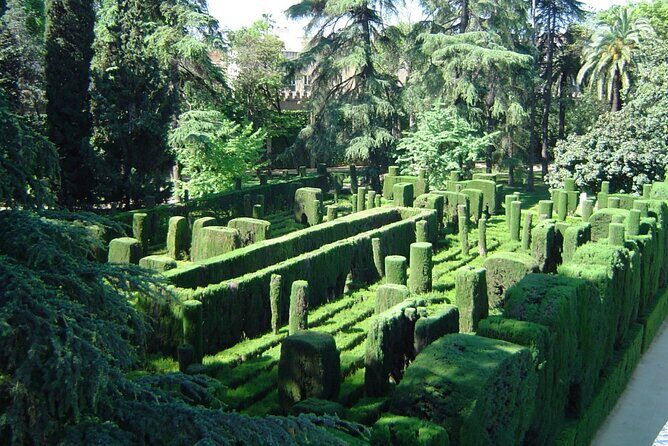 Private Sevilla Tour for families with children and teens... - A Deep Dive into the Seville Family Tour