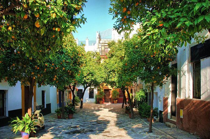Private Sevilla Tour for families with children and teens... - The Sum Up