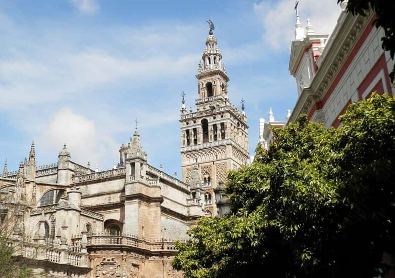 Private Seville: exclusive tour of Santa Cruz and the historic center - Key Points