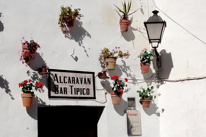 Private Seville Transfer to Malaga Including Visit to Ronda - The Journey Begins: From Seville to Malaga