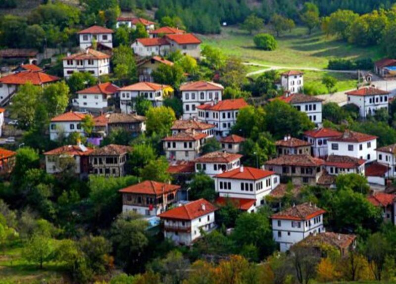 Private/Shared Daily Safranbolu tour with expert local guide - Key Points