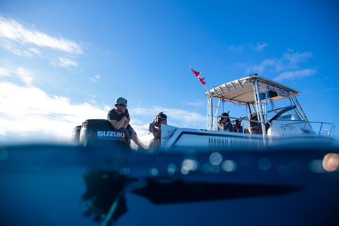 Private Shark Dive, Oahu, Hawaii (6 Guest) - What to Expect from the Private Shark Snorkel Tour