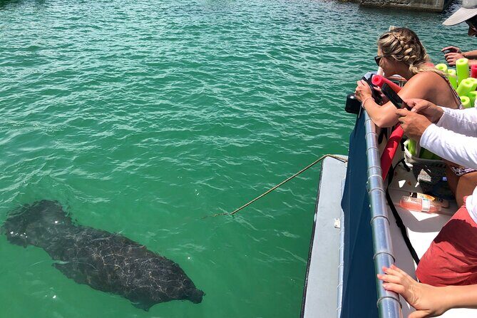 Private Shell Key Island Adventure Dolphins And Shells - Key Points