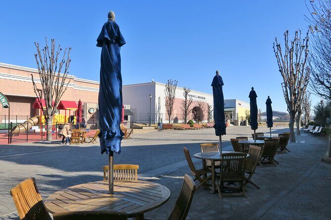 Private Shopping Tour from Tokyo to Sano Premium Outlets - Discovering the Experience: What to Expect on the Tour