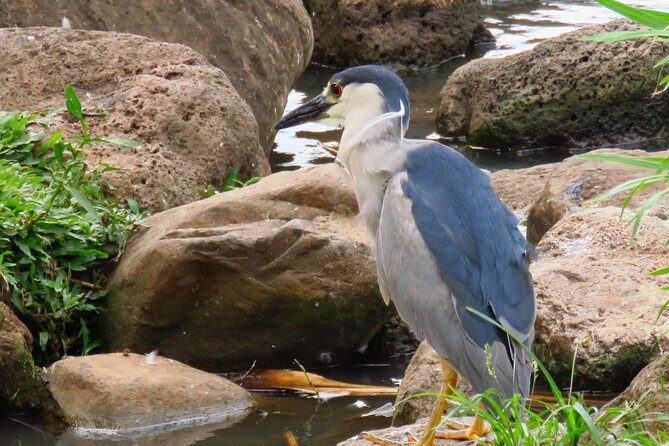 Private Shore Excursion: Best Highlights of Maui - Who Should Book This Tour?