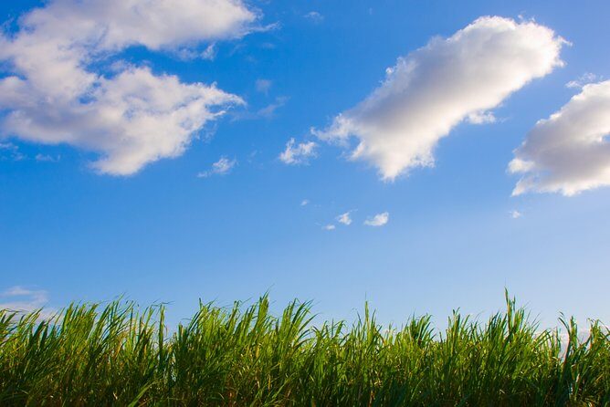 Private Shore Excursion: Best Highlights of Maui - FAQ