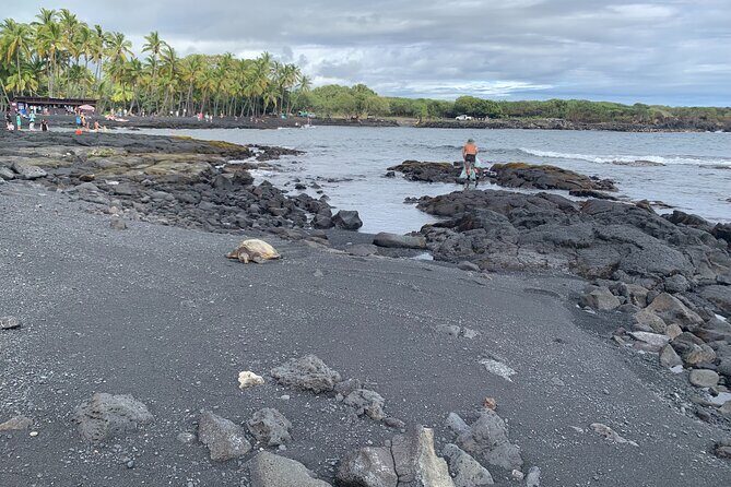 PRIVATE Shore Excursion - 'Best of Hilo and Hamakua coast - Transportation, Timing, and Group Dynamics