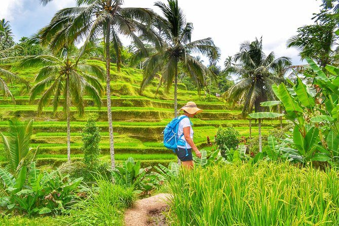 Private Shore Excursion Cruise Ship Dock in Bali - The Sum Up: A Practical, Authentic Bali Day Trip