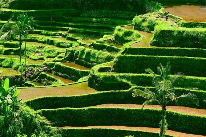 Private Shore Excursion: Customized Best of Bali Tour - FAQ