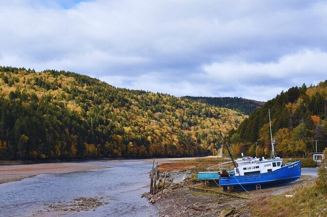 Private Shore Excursion - A Day in Saint John: What to Expect