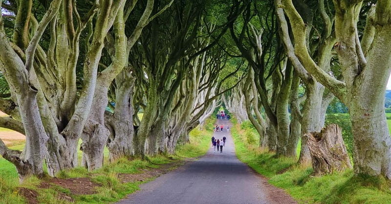 Private Shore Excursion From Belfast Cruise Terminal - A Closer Look at the Itinerary and Highlights