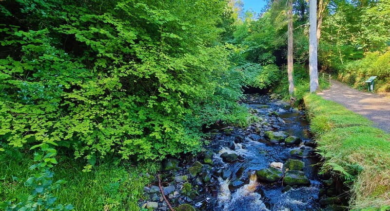 Private Shore Excursion From Belfast Cruise Terminal - FAQ