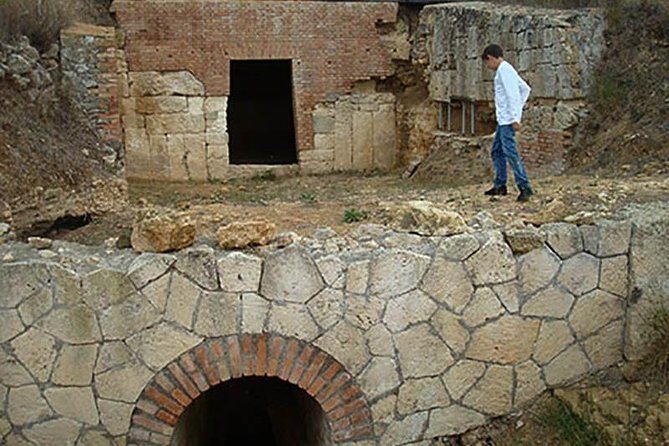 Private Shore Excursion from Civitavecchia Port to Etruscan Countryside - A Deep Dive Into the Etruscan Countryside Tour