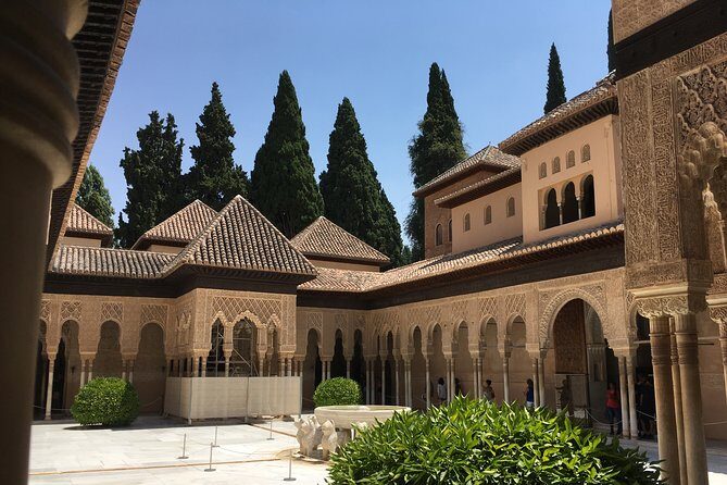 Private Shore Excursion to The Alhambra and Granada from Motril Cruise Port - An In-Depth Look at the Tour Experience