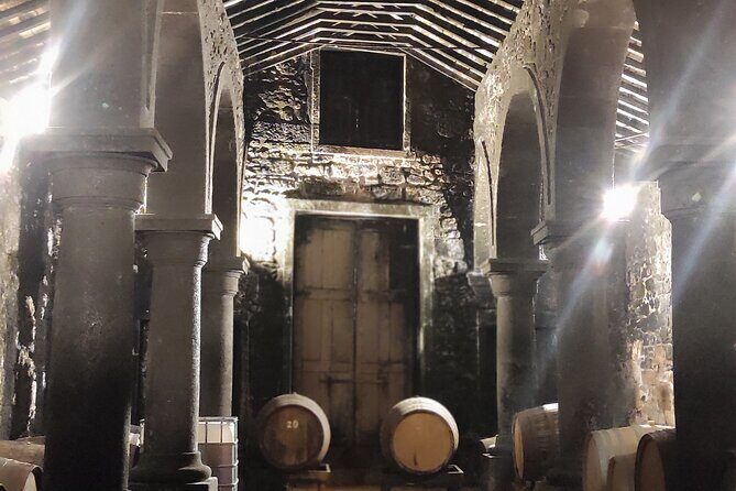 Private Shore Tour Galicia South Atlantic Coast, Portugal &Wine - Practical Details & Customer Feedback