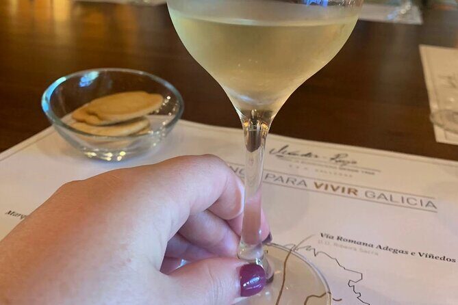 Private Shore Tour Galicia South Atlantic Coast, Portugal &Wine - Final Thoughts: Who Will Enjoy This Tour?