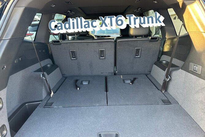 Private Shuttle from Lake Buena Vista to Port Canaveral - Pricing and Value