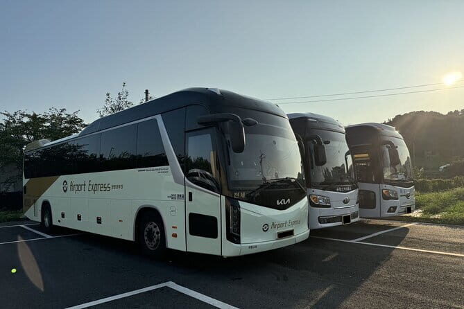 Private Shuttle Service from Korean Airport to Seoul Hotel - Key Points
