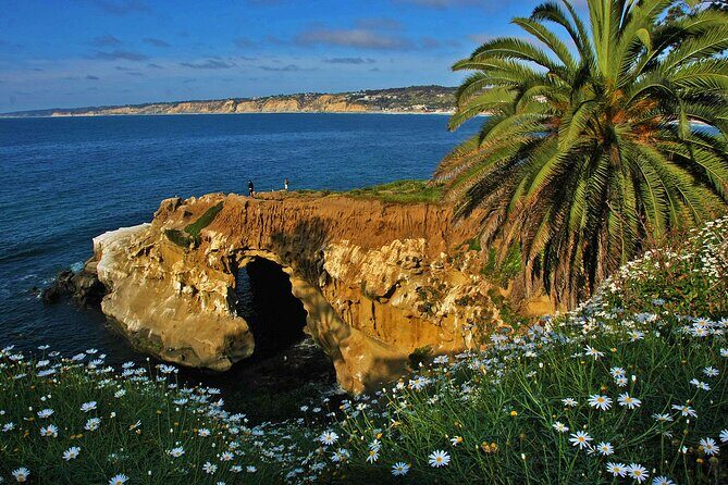 Private Shuttled Coastal Gems Scenic Customizable Tour - The Logistics and Comfort of the Tour