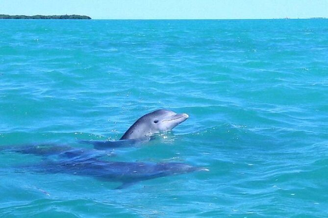 Private Sian Kaan Biosphere Tour - A Detailed Look at the Tour Experience