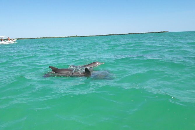 Private Sian Kaan Biosphere Tour - The Sum Up