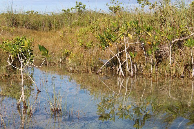 Private Sian Kaan Muyil Lazy River Tour - Key Points